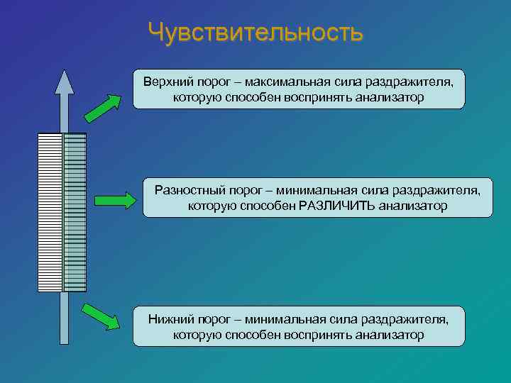 Нижний порог. Пороги чувствительности анализаторов. Чувствительность анализаторов примеры. Разностный порог чувствительности. Разностный порог чувствительности анализаторов.