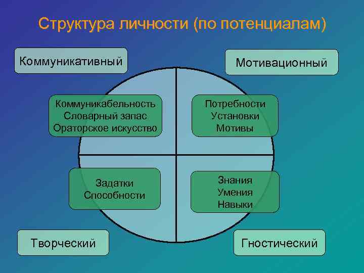 Структура личности (по потенциалам) Коммуникативный   Мотивационный  Коммуникабельность Потребности Словарный запас