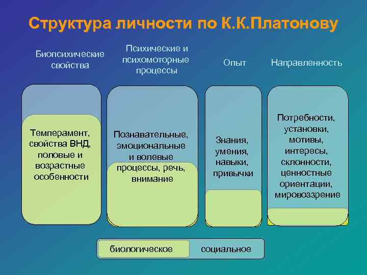 Процессы личности. Структура личности Платонова. Структура качеств личности по Платонову. Структура личности в психологии по Платонову. Платонов структура личности.