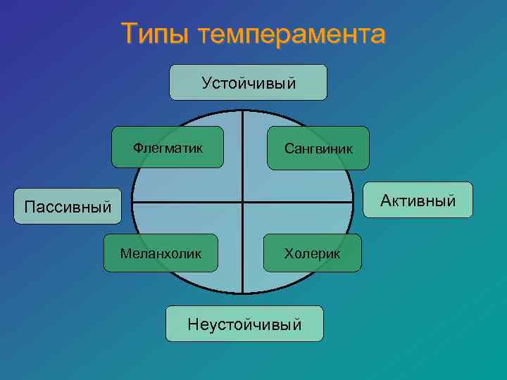   Типы темперамента     Устойчивый    Флегматик 