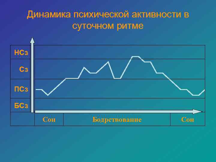  Динамика психической активности в  суточном ритме НСз  Сз ПСз БСз 