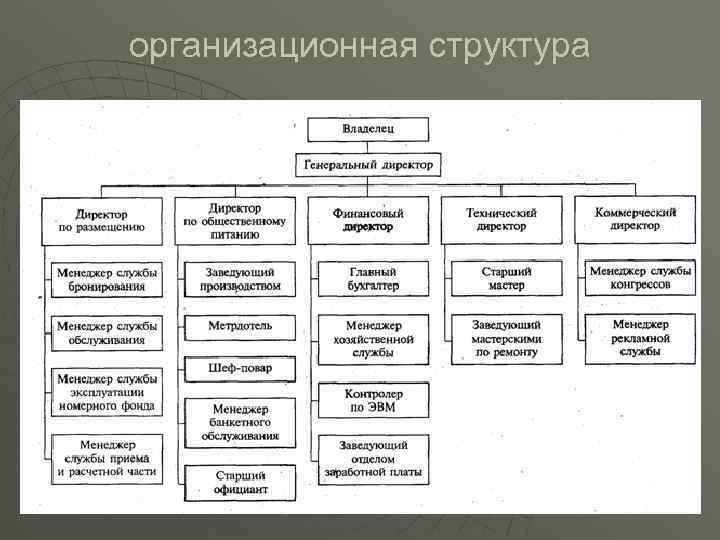 организационная структура 
