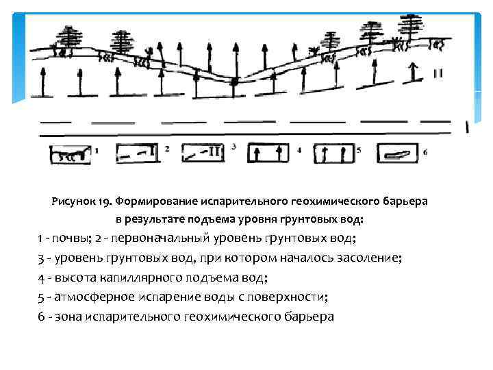  Рисунок 19. Формирование испарительного геохимического барьера    в результате подъема уровня