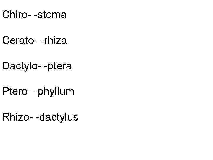 Chiro- -stoma Cerato- -rhiza Dactylo- -ptera Ptero- -phyllum Rhizo- -dactylus 