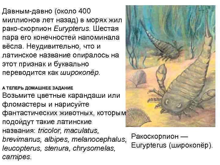 400 млн лет назад какая. Скорпион 400 миллионов лет назад. 400 Млн лет назад. Что было 400 миллионов лет назад. Ракоскорпионы Пермского периода существования.