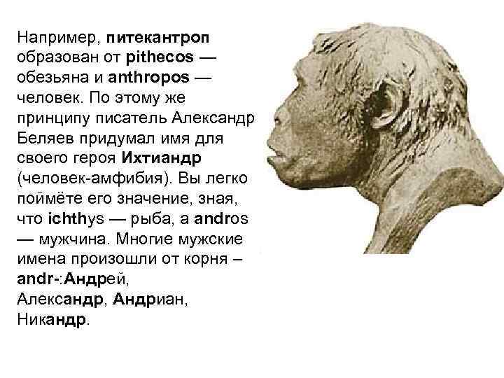 Например, питекантроп образован от pithecos — обезьяна и anthropos — человек. По этому же