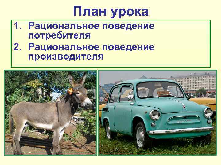    План урока 1. Рациональное поведение  потребителя 2. Рациональное поведение 