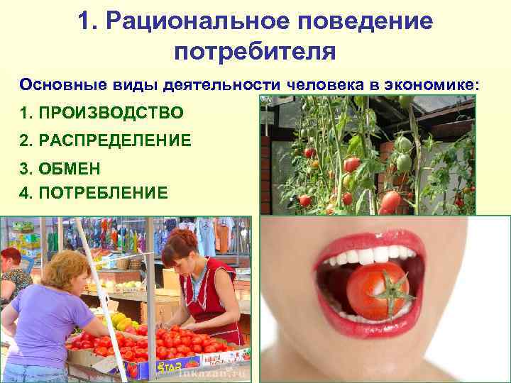  1. Рациональное поведение   потребителя Основные виды деятельности человека в экономике: 1.