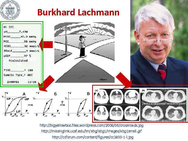Burkhard Lachmann http: //bigyellowtaxi. files. wordpress. com/2008/06/crossroads. jpg http: //missinglink. ucsf. edu/lm/abg 1/images/abg 1