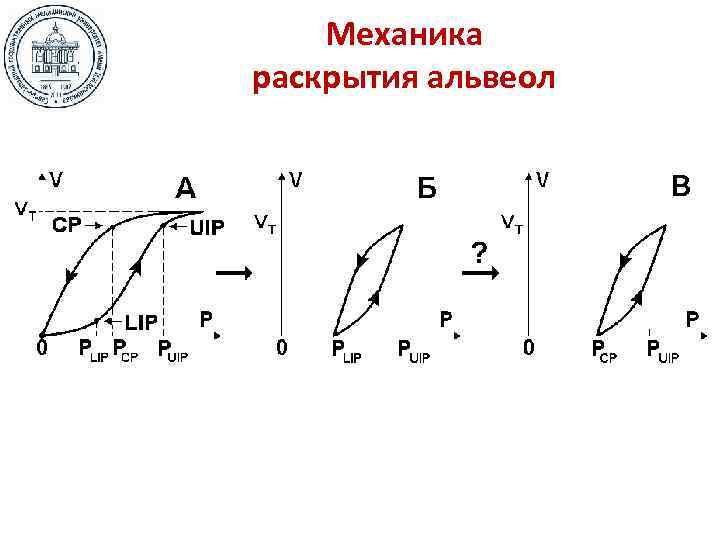   Механика раскрытия альвеол 