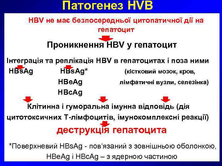      Патогенез HVВ   HBV не має безпосередньої цитопатичної