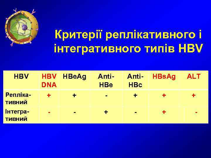     Критерії реплікативного і   інтегративного типів HBV HBV HBe.