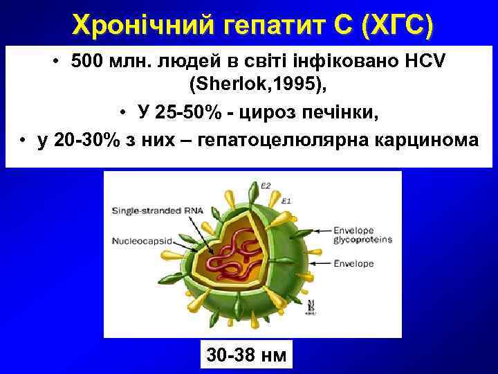  Хронічний гепатит С (ХГС) • 500 млн. людей в світі інфіковано HCV 