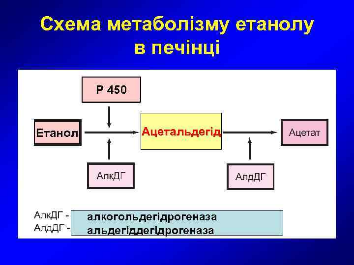 Схема метаболізму етанолу   в печінці  Р 450  Етанол  Ацетальдегід