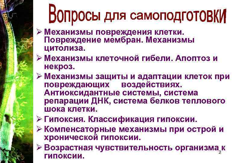 Ø Механизмы повреждения клетки. Повреждение мембран. Механизмы цитолиза. Ø Механизмы клеточной гибели. Ø Механизмы повреждения клетки. Повреждение мембран. Механизмы цитолиза. Ø Механизмы клеточной гибели.