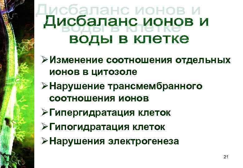 Ø Изменение соотношения отдельных ионов в цитозоле Ø Нарушение трансмембранного соотношения ионов Ø Изменение соотношения отдельных ионов в цитозоле Ø Нарушение трансмембранного соотношения ионов