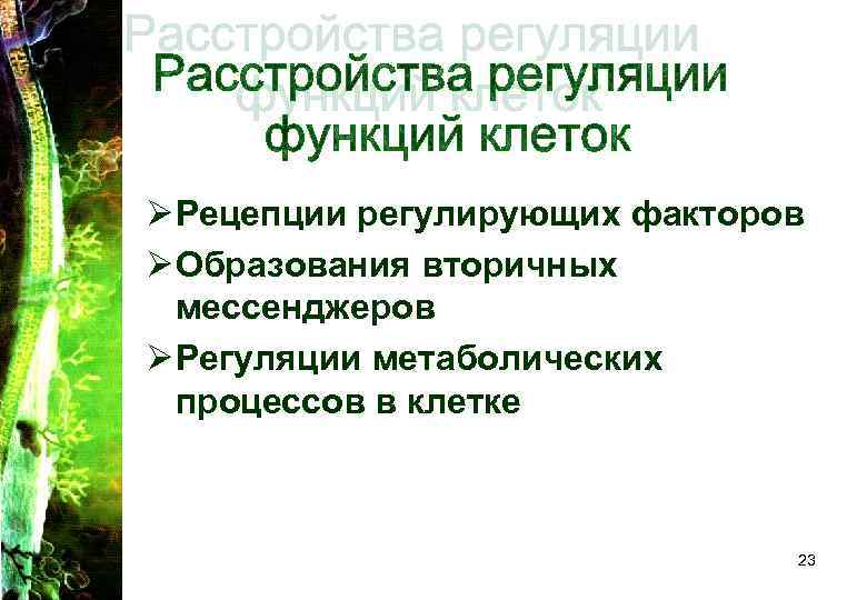 Ø Рецепции регулирующих факторов Ø Образования вторичных мессенджеров Ø Регуляции метаболических процессов Ø Рецепции регулирующих факторов Ø Образования вторичных мессенджеров Ø Регуляции метаболических процессов