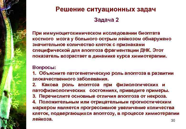 Решение ситуационных задач Задача 2 При иммуноцитохимическом исследовании Решение ситуационных задач Задача 2 При иммуноцитохимическом исследовании