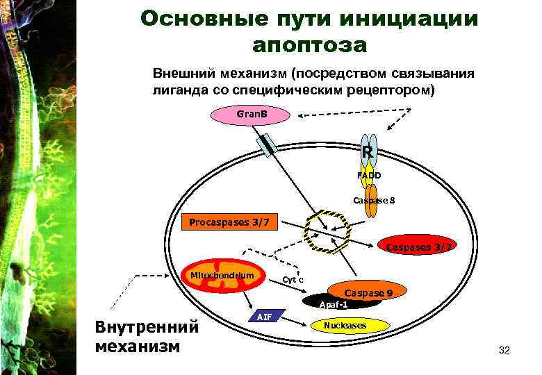 Внешний механизм