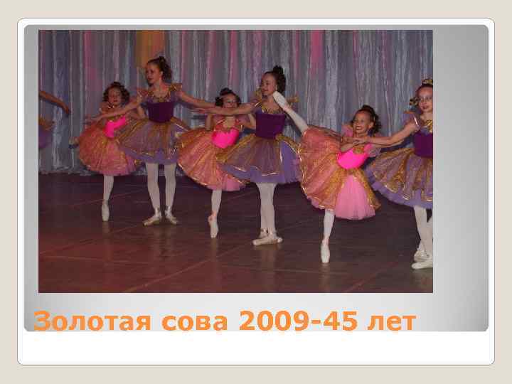 Золотая сова 2009 -45 лет 