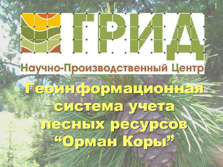     1 Геоинформационная  система учета  лесных ресурсов  “Орман