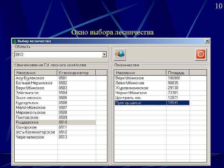 Окно выбора. Программа по учету лесного фонда. Учет лесного фонда формы. База данных государственного учета лесов.