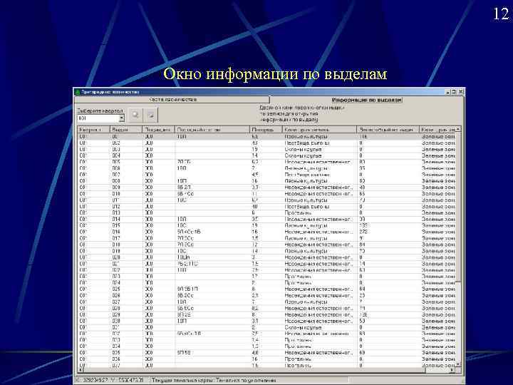      12  Окно информации по выделам 