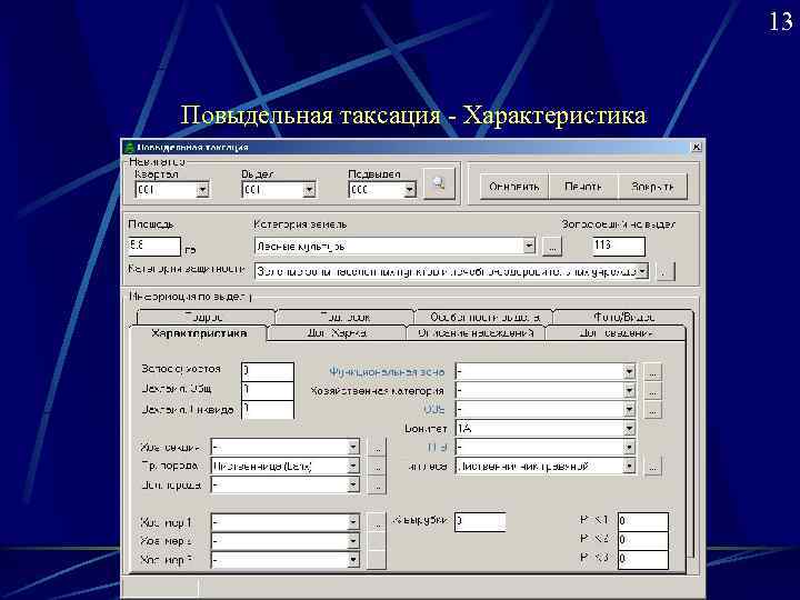     13  Повыдельная таксация - Характеристика 