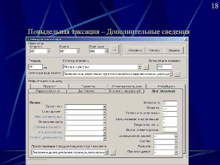      18  Повыдельная таксация – Дополнительные сведения 