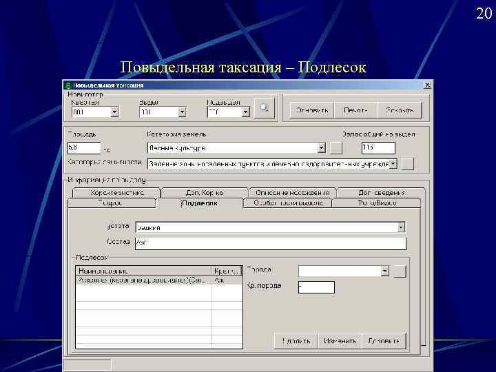        20  Повыдельная таксация – Подлесок 