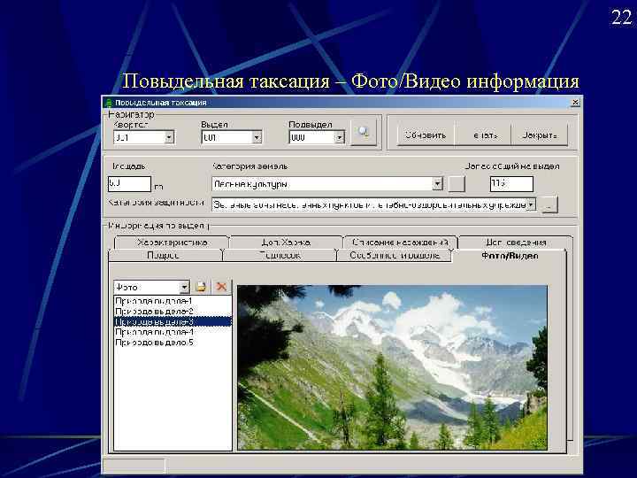     22 Повыдельная таксация – Фото/Видео информация 