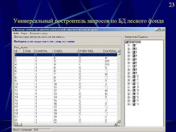       23 Универсальный построитель запросов по БД лесного фонда