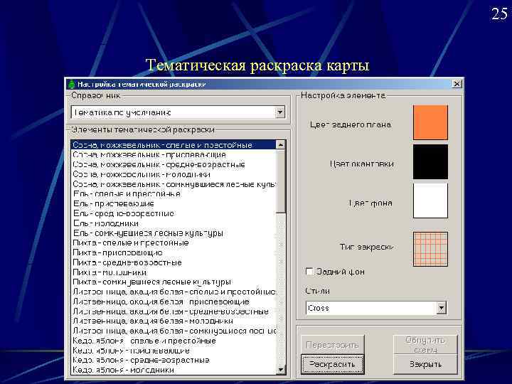      25 Тематическая раска карты 