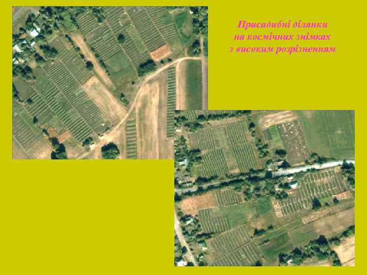  Присадибні ділянки на космічних знімках з високим розрізненням 