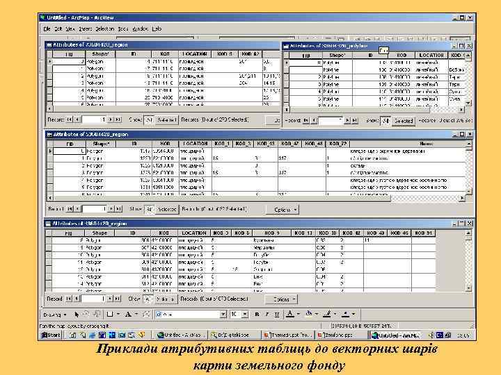 Приклади атрибутивних таблиць до векторних шарів   карти земельного фонду 