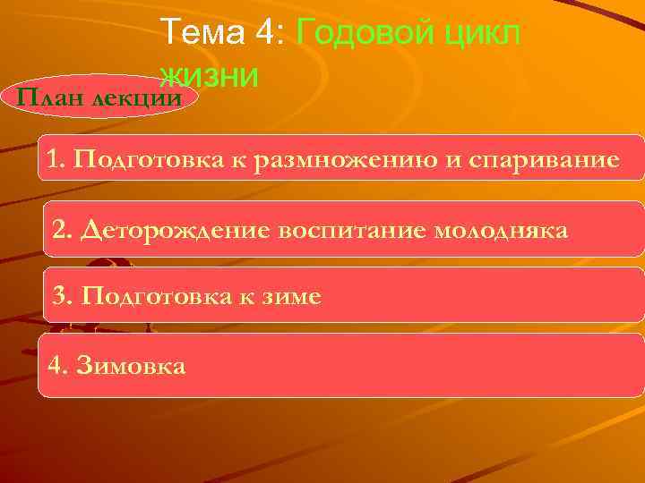    Тема 4: Годовой цикл  жизни План лекции  1. Подготовка