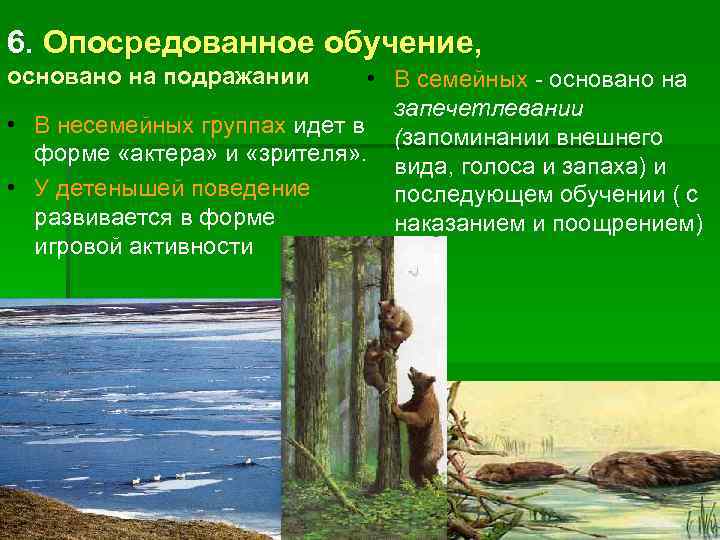 6. Опосредованное обучение, основано на подражании  • В семейных - основано на 