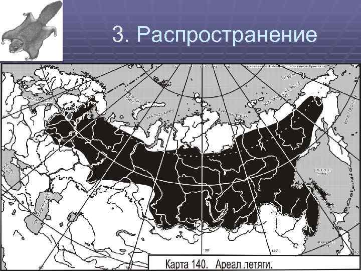 3. Распространение 