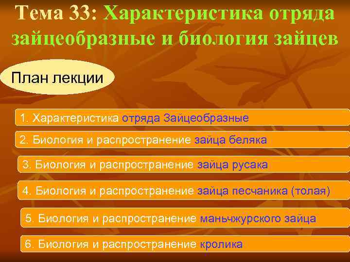 Тема 33: Характеристика отряда зайцеобразные и биология зайцев План лекции  1. Характеристика отряда