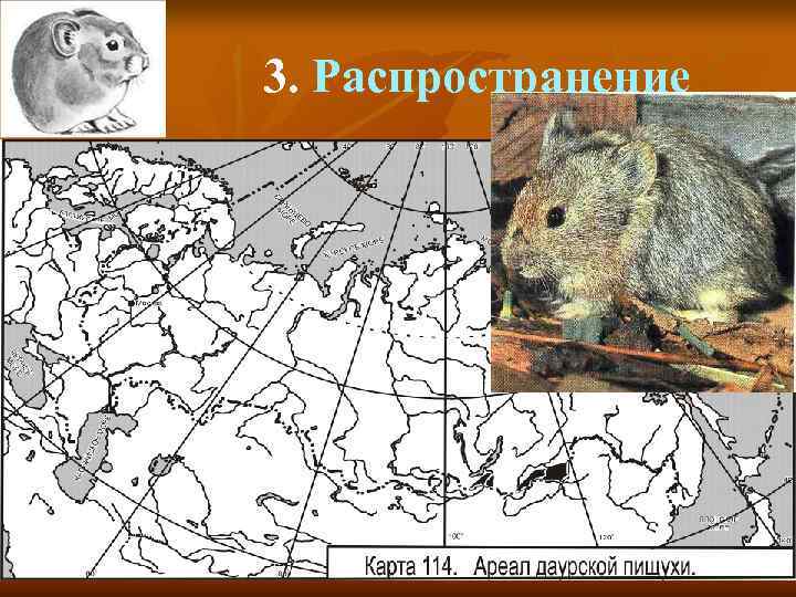 3. Распространение 