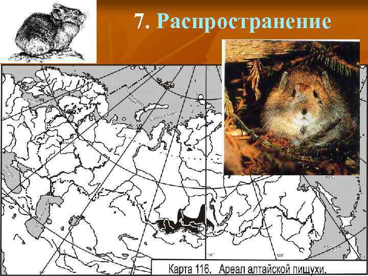 7. Распространение 