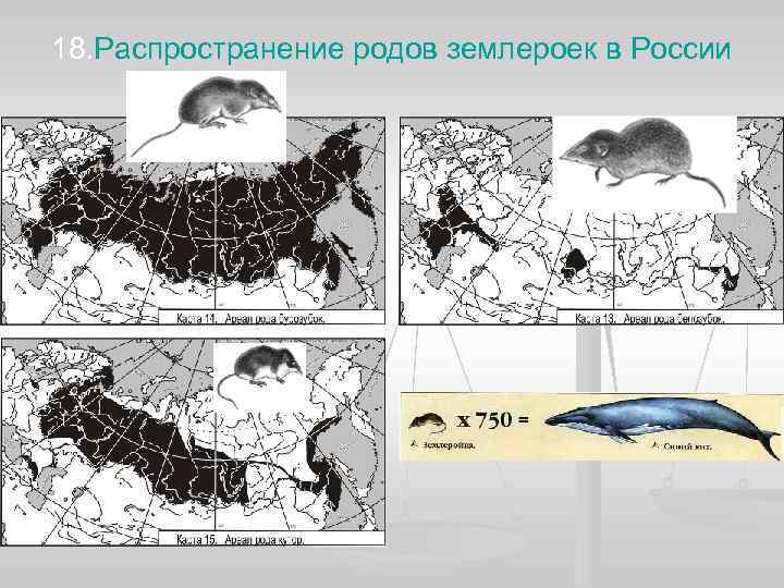 18. Распространение родов землероек в России 