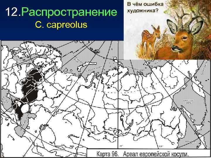      В чём ошибка 12. Распространение  художника?  С.