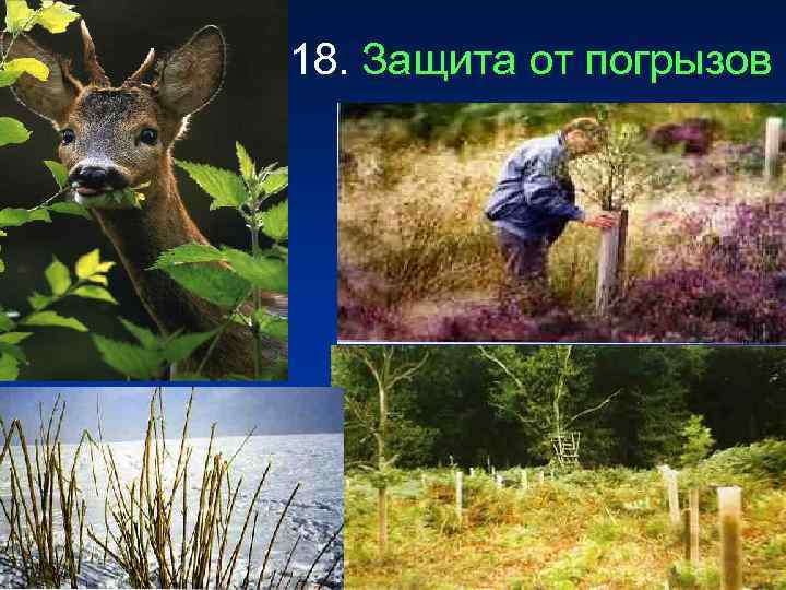 18. Защита от погрызов 