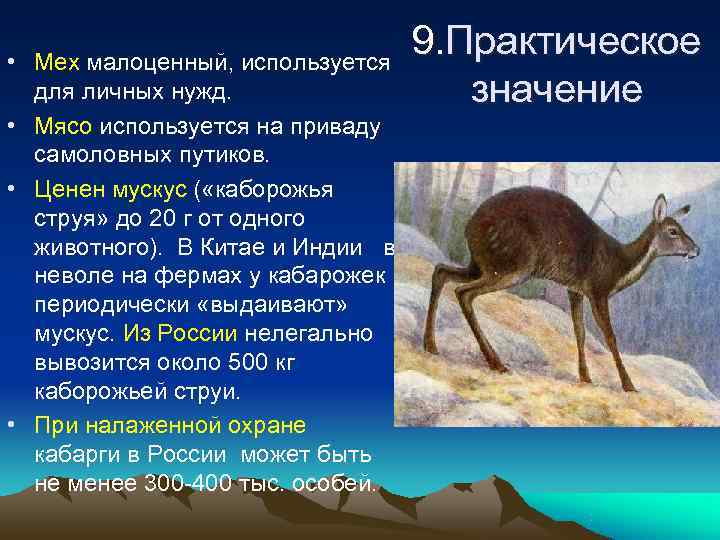  • Мех малоценный, используется      9. Практическое  для