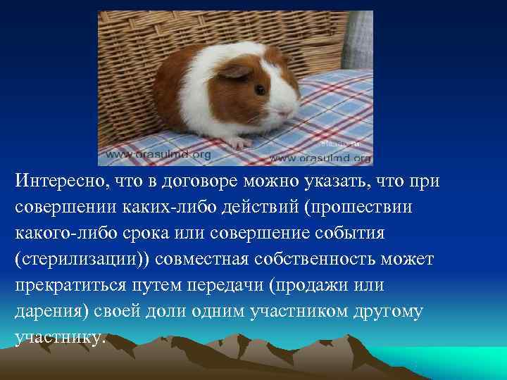 Интересно, что в договоре можно указать, что при совершении каких-либо действий (прошествии какого-либо срока