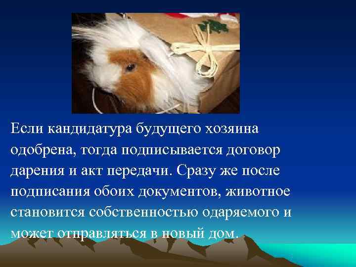Если кандидатура будущего хозяина одобрена, тогда подписывается договор дарения и акт передачи. Сразу же