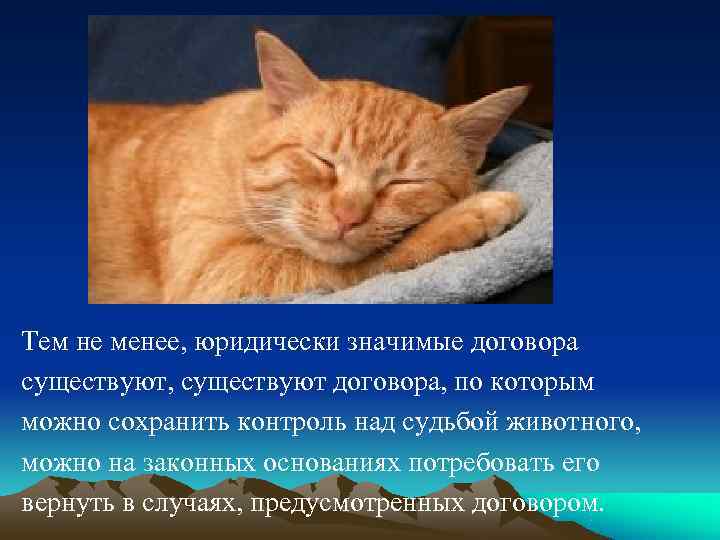 Тем не менее, юридически значимые договора существуют, существуют договора, по которым можно сохранить контроль