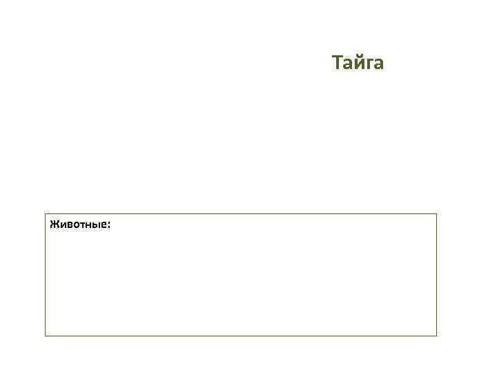   Тайга Животные: 