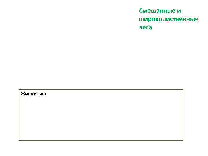   Смешанные и   широколиственные   леса Животные: 
